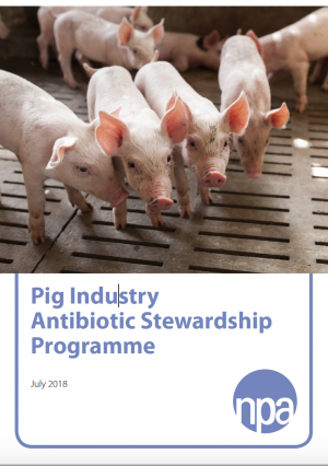 NPA Antibiotic Steward Programme 2018